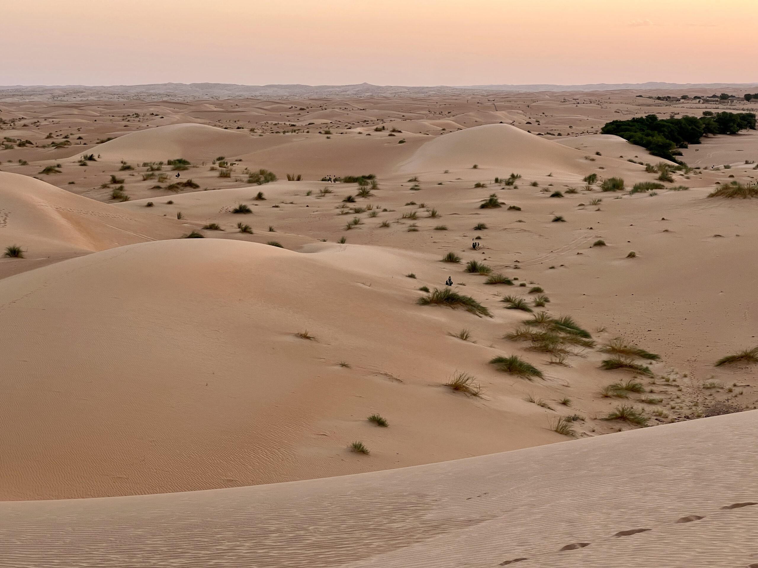 The Sahara. Mauritania