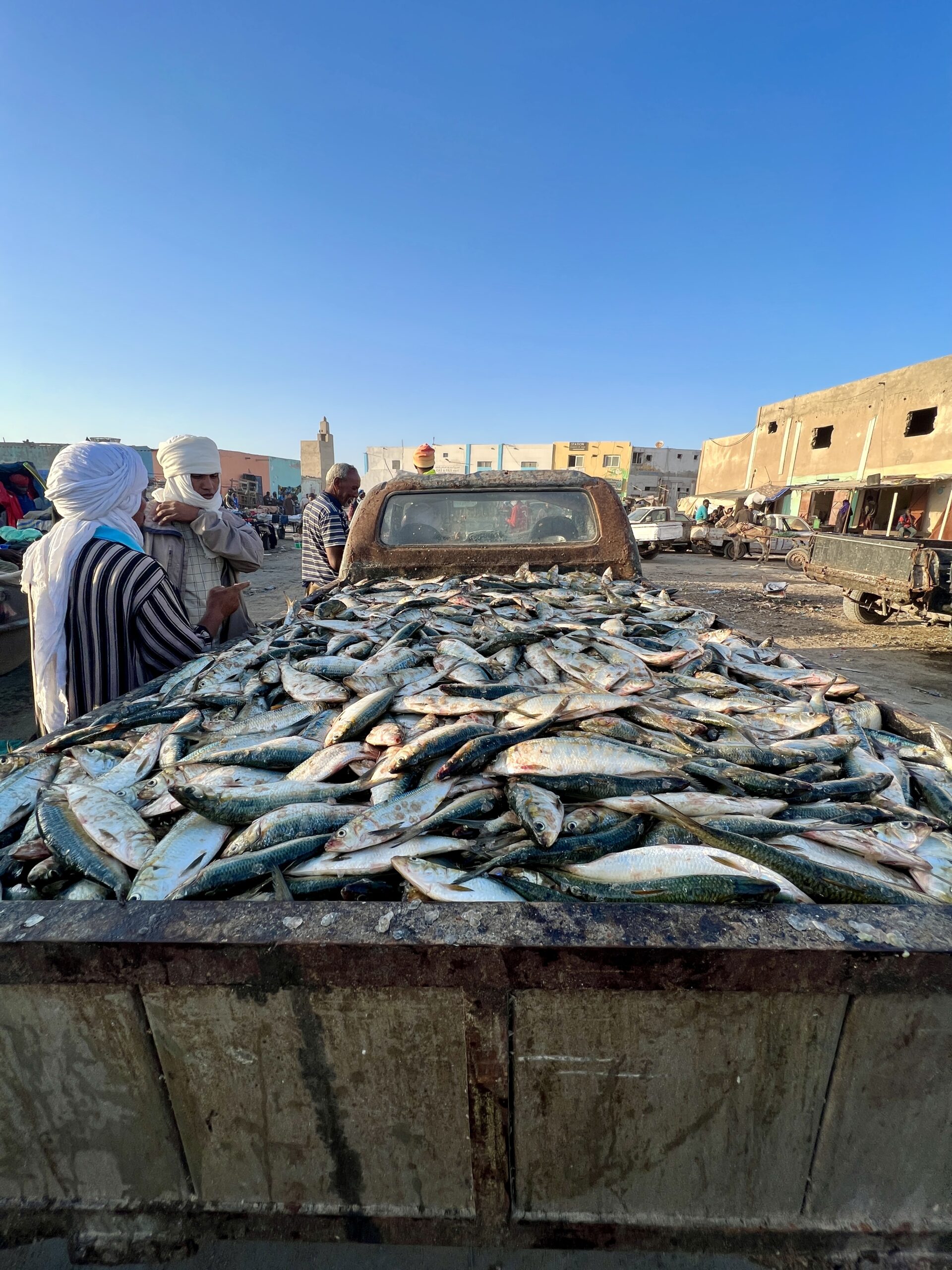 Nouadhibou port